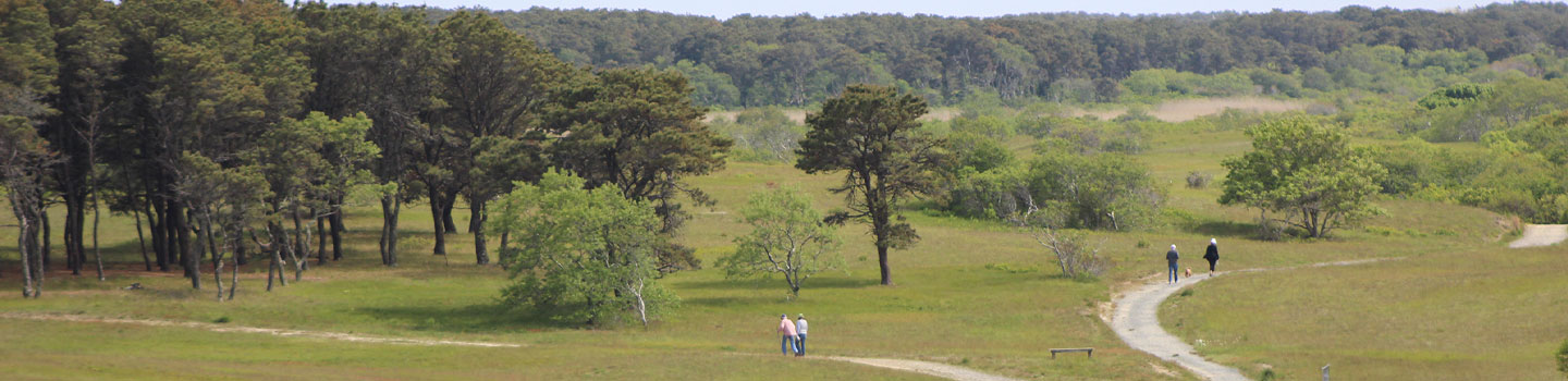 Sanford Farm Trails