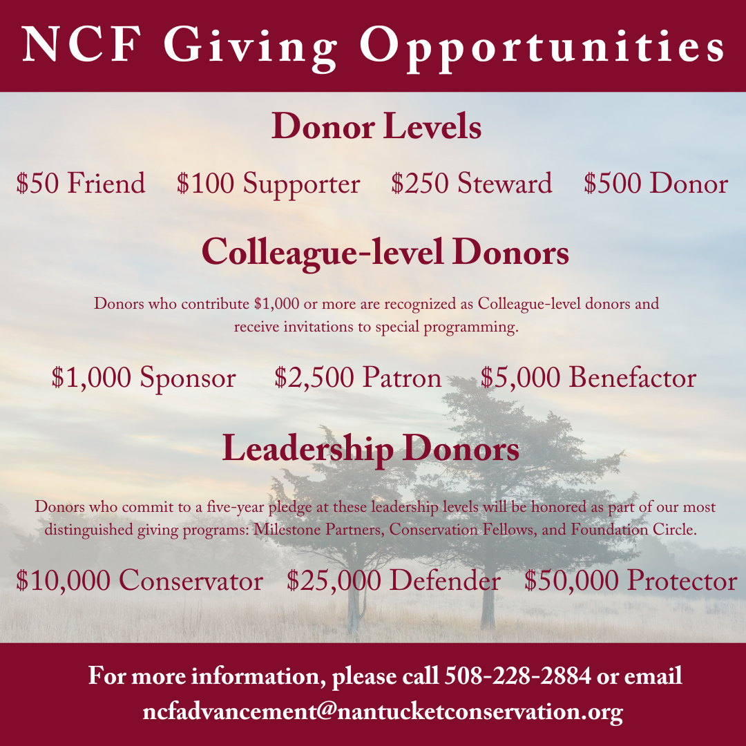 NCF Giving Opportunities
